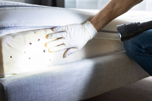 Barton Creek, TX Pest Control Company