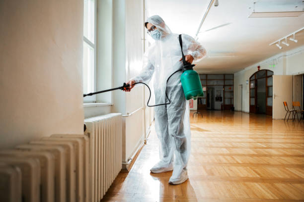 Reliable Barton Creek, TX Pest Control Solutions